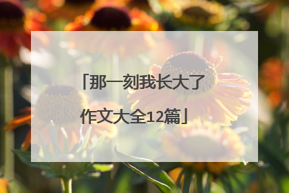 那一刻我长大了作文大全12篇