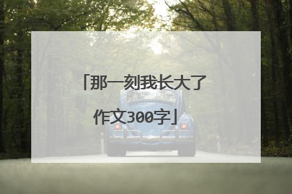 那一刻我长大了作文300字