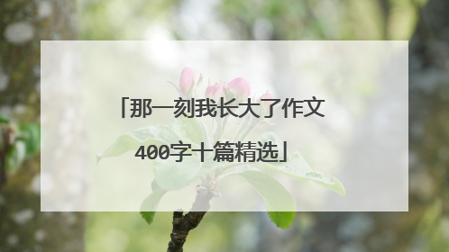 那一刻我长大了作文400字十篇精选