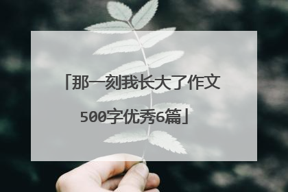 那一刻我长大了作文500字优秀6篇