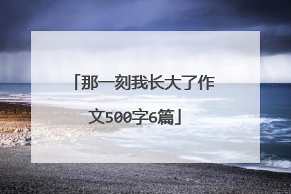 那一刻我长大了作文500字6篇