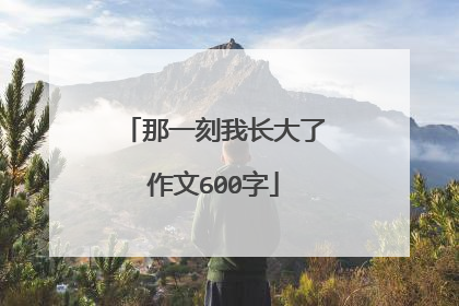 那一刻我长大了作文600字