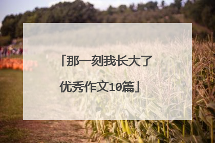 那一刻我长大了优秀作文10篇