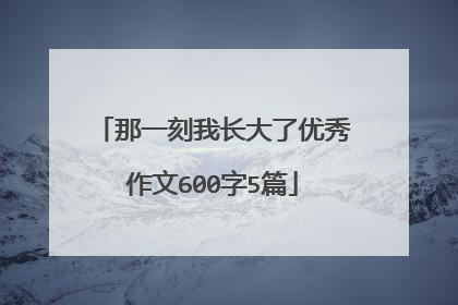 那一刻我长大了优秀作文600字5篇