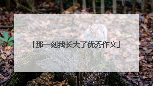 那一刻我长大了优秀作文