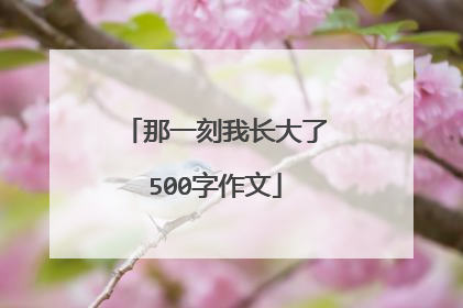 那一刻我长大了500字作文