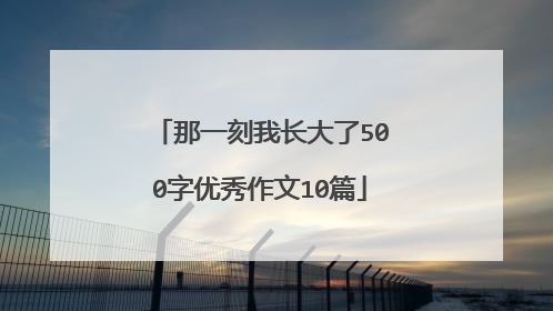 那一刻我长大了500字优秀作文10篇