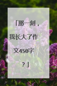 那一刻，我长大了作文450字？