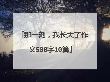 那一刻，我长大了作文500字10篇