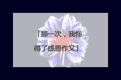 那一次，我懂得了感恩作文