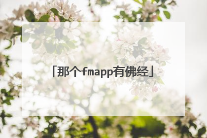 那个fmapp有佛经