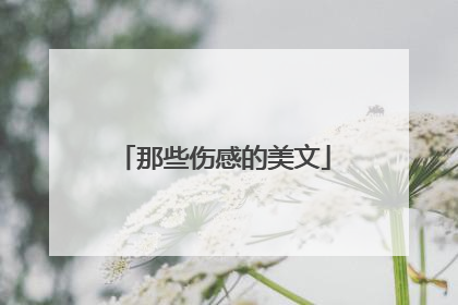 那些伤感的美文
