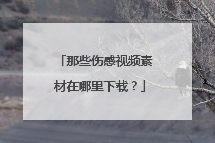 那些伤感视频素材在哪里下载?