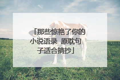 那些惊艳了你的小说语录 原耽句子适合摘抄