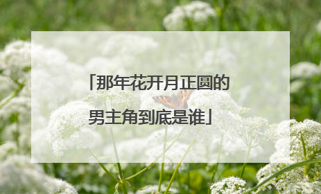 那年花开月正圆的男主角到底是谁