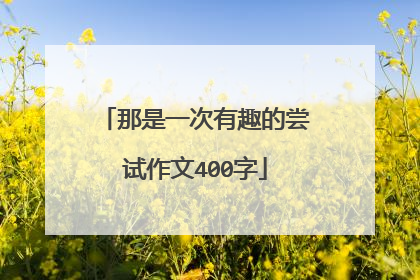 那是一次有趣的尝试作文400字