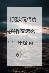 那次玩得真高兴作文怎么写三年级300字