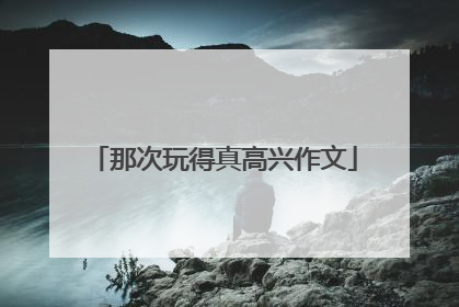 那次玩得真高兴作文