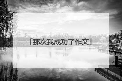 那次我成功了作文