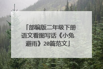 部编版二年级下册语文看图写话《小兔避雨》20篇范文