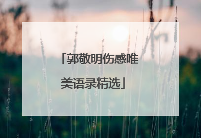 郭敬明伤感唯美语录精选