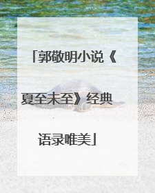 郭敬明小说《夏至未至》经典语录唯美