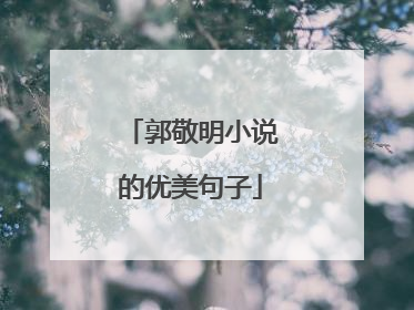 郭敬明小说的优美句子