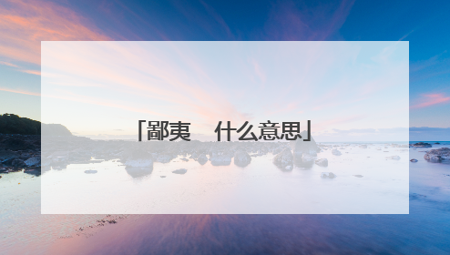 鄙夷 什么意思