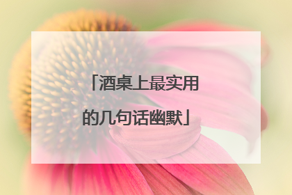 酒桌上最实用的几句话幽默