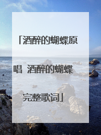 酒醉的蝴蝶原唱 酒醉的蝴蝶完整歌词