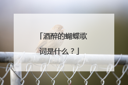 酒醉的蝴蝶歌词是什么？