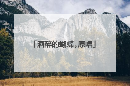 酒醉的蝴蝶,原唱