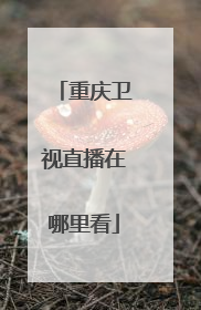 重慶衛視在線直播的春節聯歡晚會(cctv1在線直播春節聯歡晚會)_放假了