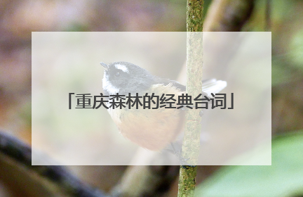 重庆森林的经典台词