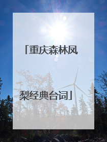 重庆森林凤梨经典台词