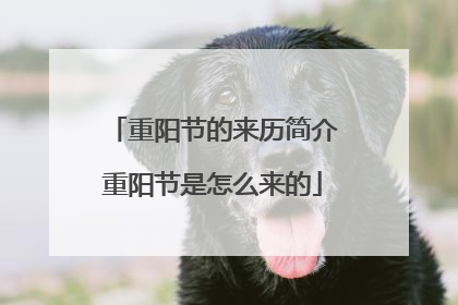 重阳节的来历简介重阳节是怎么来的