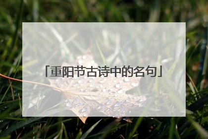 重阳节古诗中的名句