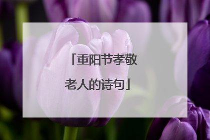 重阳节孝敬老人的诗句