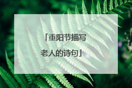 重阳节描写老人的诗句