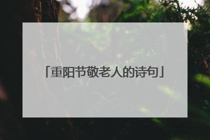 重阳节敬老人的诗句