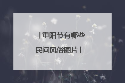 重阳节有哪些民间风俗图片