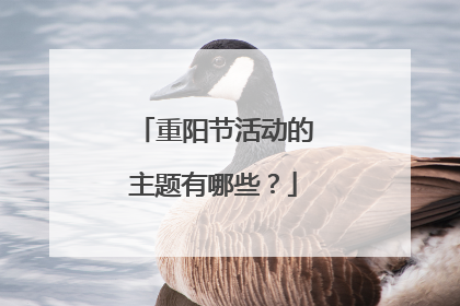 重阳节活动的主题有哪些？