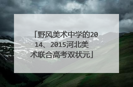 野风美术中学的2014、2015河北美术联合高考双状元