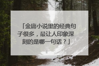 金庸小说里的经典句子很多，最让人印象深刻的是哪一句话？