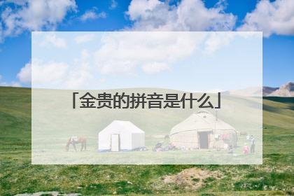 金贵的拼音是什么