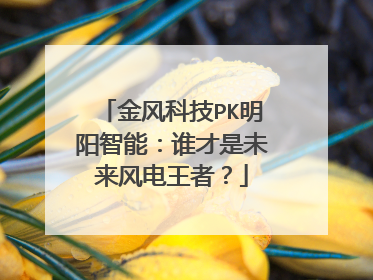 金风科技PK明阳智能：谁才是未来风电王者？