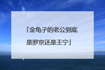 金龟子的老公到底是罗京还是王宁