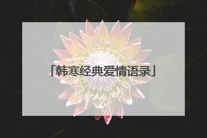 韩寒经典爱情语录