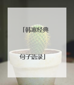 韩寒经典句子语录