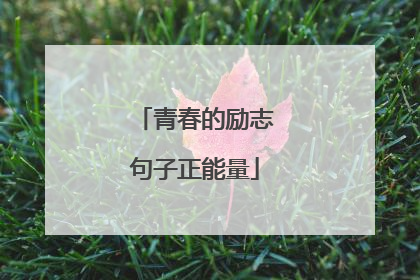 青春的励志句子正能量